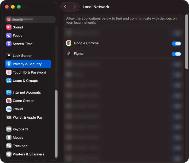 The local network settings on macOS.