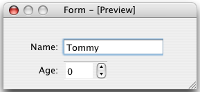 Screenshot showing the layout preview on macOS