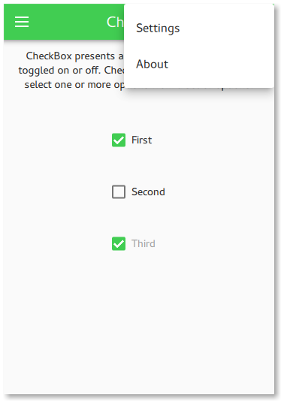 Options menu with settings and about items