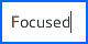 Text field in focused state with highlight