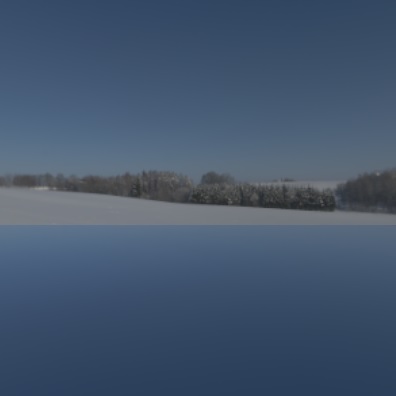 Plane with winter landscape from custom texture data