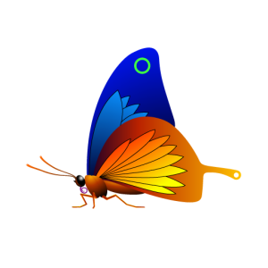 Butterfly at default gamma