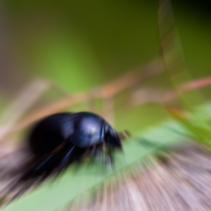 Blur center at origin