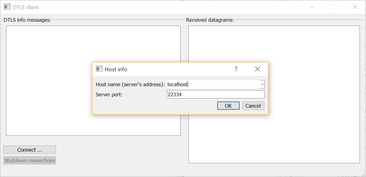 DTLS 客户端示例截图。