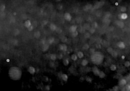 Texture en niveaux de gris avec des points lumineux dispersés sur un fond sombre