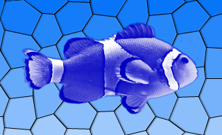 Effet de couleur bleue sur l'image d'un poisson