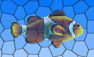 Effet d'opacité sur l'image d'un poisson