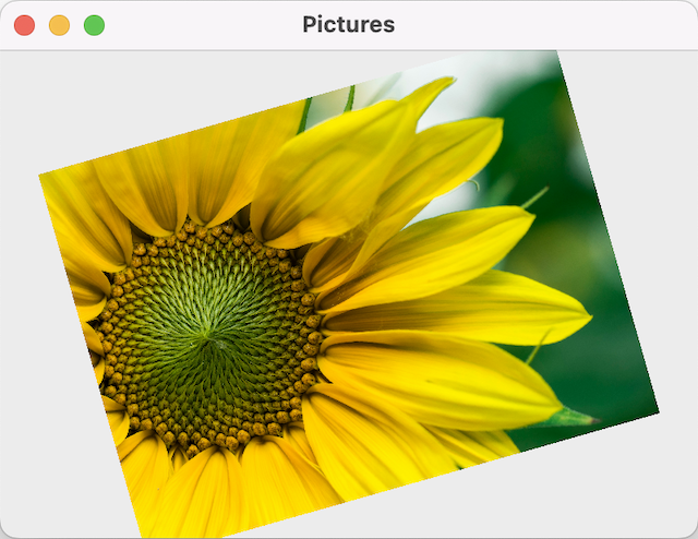 Saisies gestuelles sur l'image d'une fleur