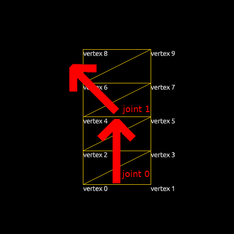 Squelette initial