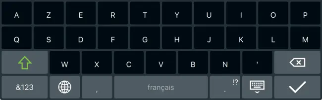 Capture d'écran de la mise en page française