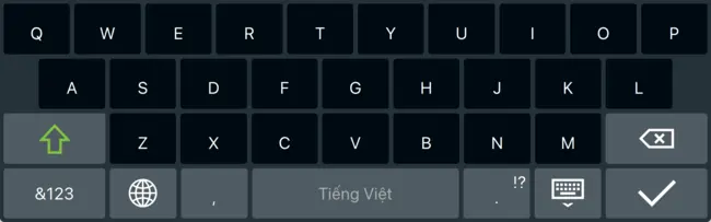 Capture d'écran de la présentation vietnamienne