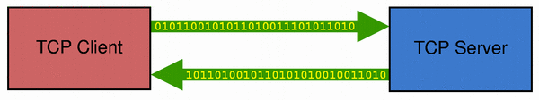 Un flux TCP Un flux TCP