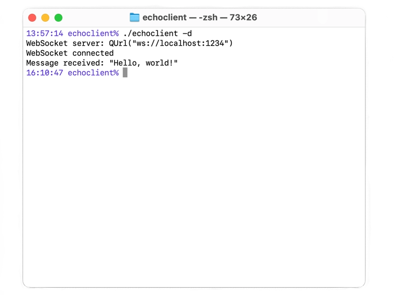 WebSocket Echo Console Client